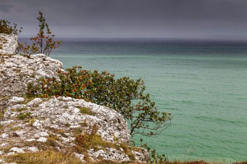 Högklint