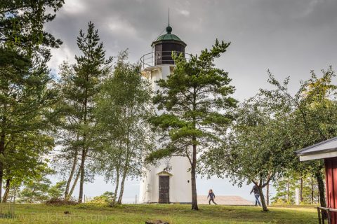Stenkirkehuk