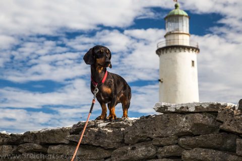 Grindel mit Farö Leuchtturm