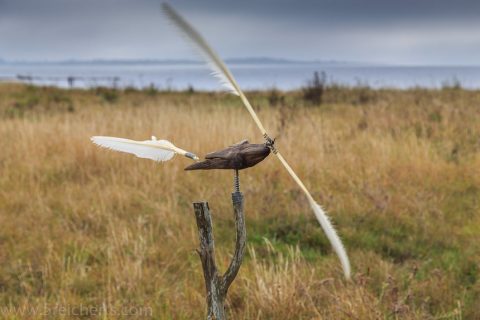 Ein Windrad aus Naturmaterialien