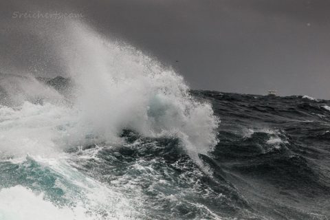 Wilde Fährfahrt, Ile de Sein