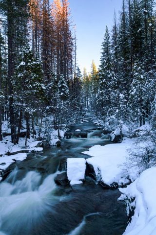 Schneelandschaft
