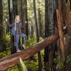 Sandra im Redwood Wald