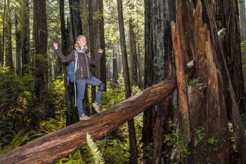 Sandra im Redwood Wald