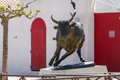 Stier Statue vor der Arena, Camargue
