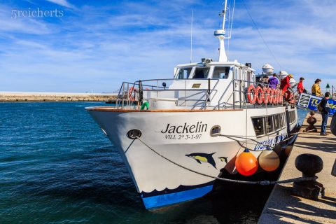 Das Walbeobachtungsboot, Andalusien