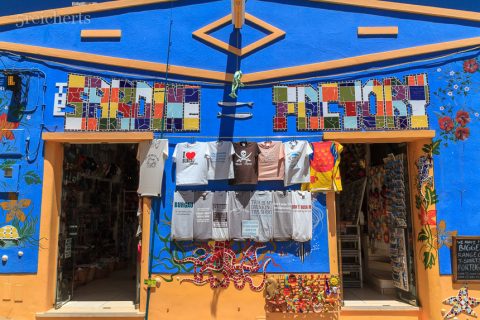 Auf einem T-Shirt stand: The drinking village with a fishing problem