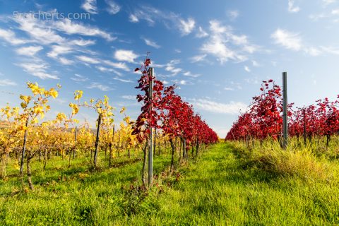 Farben des Herbstes