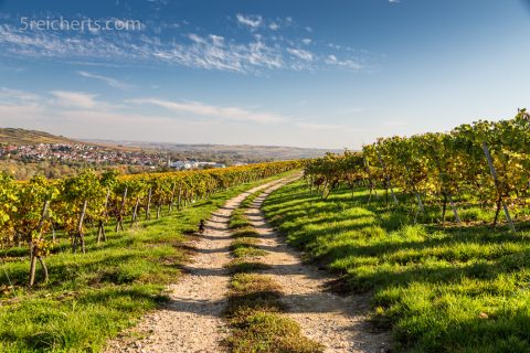 Wirtschaftswege eignen sich auch zum Wandern