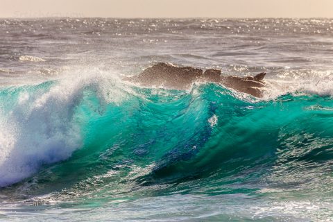 Wellen im Licht, Pern, Ouessant