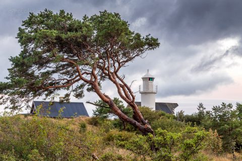 Skan Sudde, Kronholmen, Gotland, Schweden