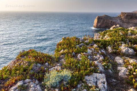 Klippen beim Cabo Sao Vicente