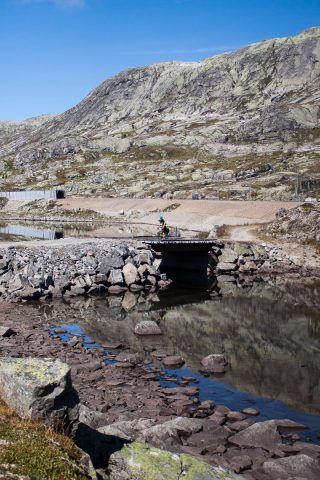 Hier in Norwegen gibt es schon ab 1.000 Metern keine Bäume mehr.