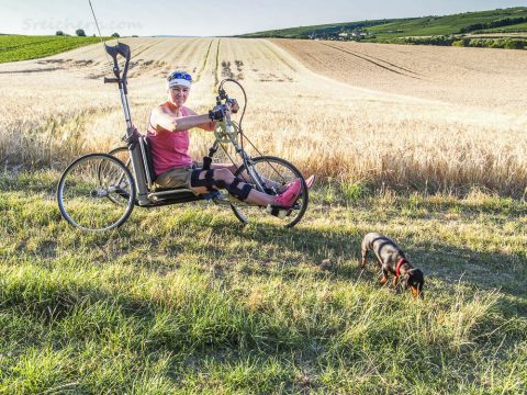 Die Getriedefelder werden schon gelb