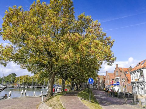 Fußgängerpfad durch die Stadt Enkhuizen, Niederlande