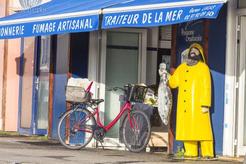 Hier gibt es frischen Fisch, Quiberon