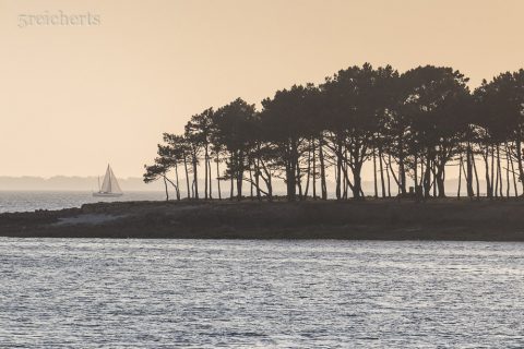Kleines Wäldchen am Meer, Locmariaquer