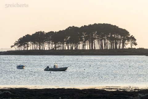 Kleines Wäldchen am Meer, Locmariaquer