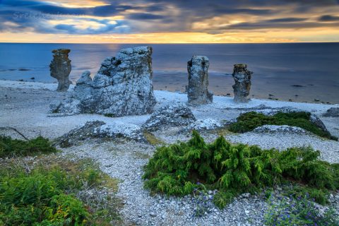 Raukare, Langhammars, Fårö, Gotland, Schweden