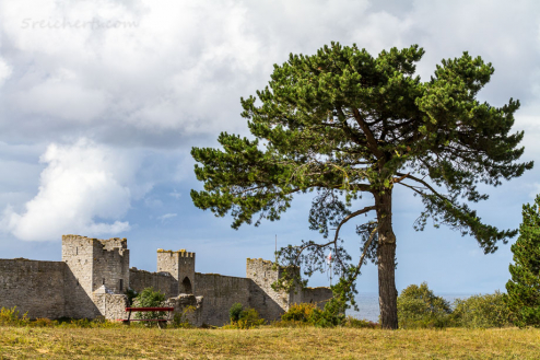 Die alten Mauern vonVisby, Gotland, Schweden