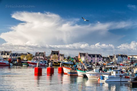 Fischerboote im Hafen von Guilvinec, Penmarch, Bretagne