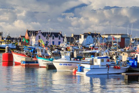 Fischerboote im Hafen von Guilvinec, Penmarch, Bretagne