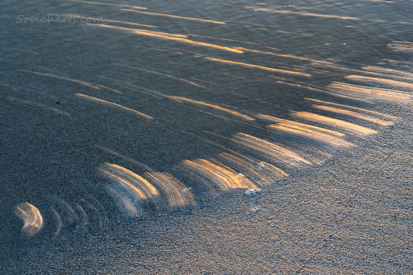 golden wavelines on beach