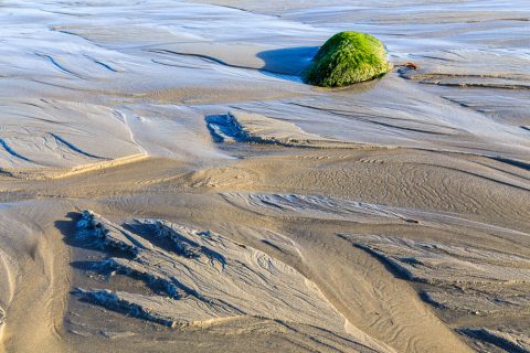 Stranddetails bei Trezien