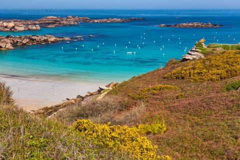 Greve Blanche, Tregastel, Bretagne