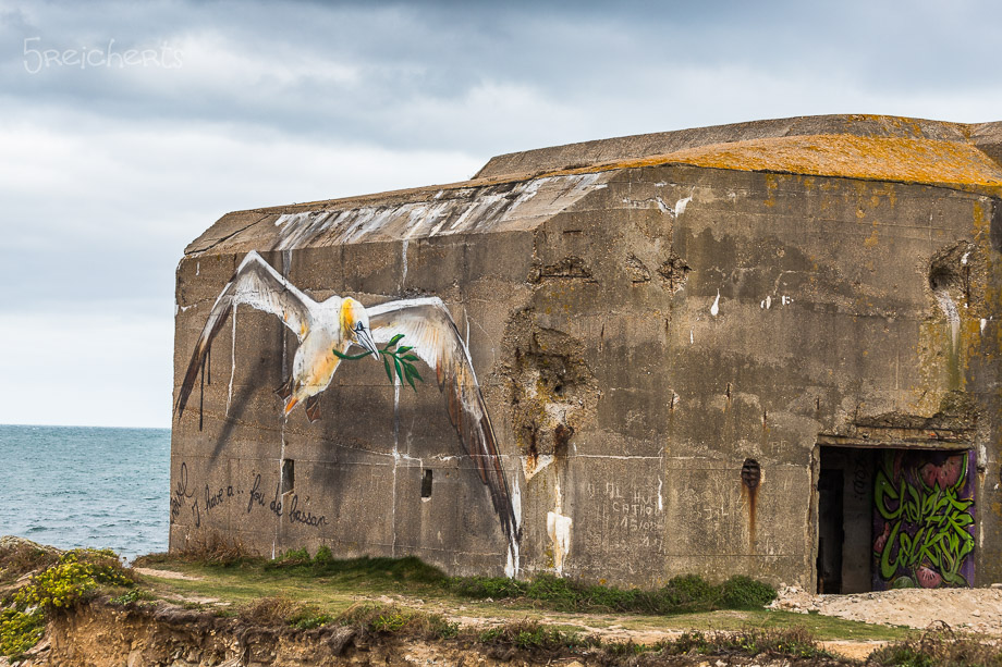 Bunkeranlage mit Basstölpel-Graffitti