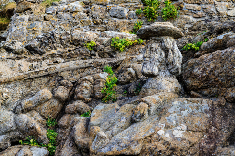 Die Steinfiguren von Rothéneuf