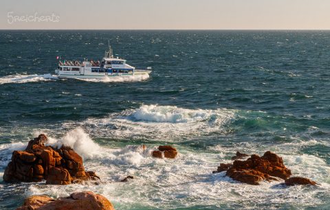Inselrundfahrt mit dem Fährschiff