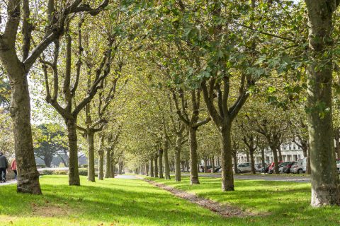 Im Park, Brest, Bretagne