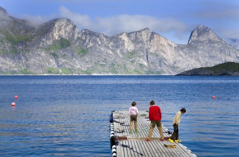 2008 auf einem Bootsteg in Nordnorwegen.
