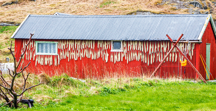 Fischerhütte mit Stockfisch, Vaeroy, Norwegen