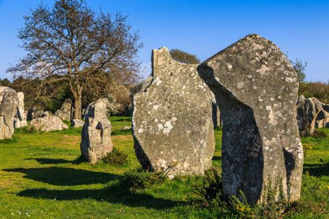 Menhire in Erdeven, Bretagne