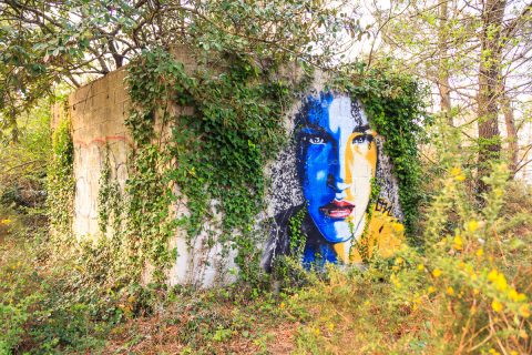 Graffity, Ile Vierge, Bretagne