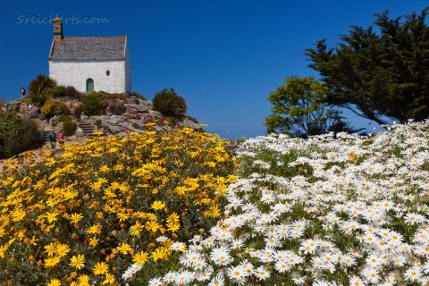 Roscoff