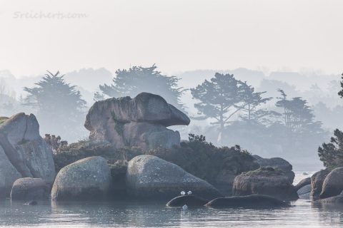 Baie de Sainte Anne, Tregastel, Bretagne