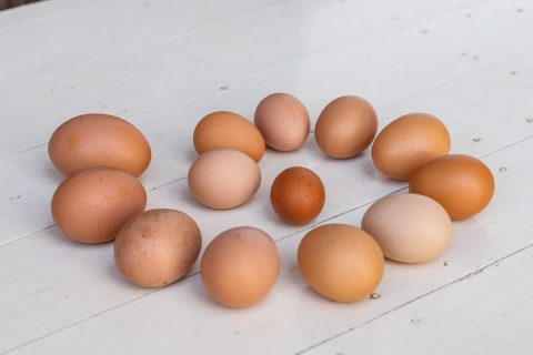 unterschiedlich große Eier