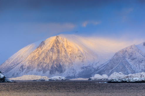 Henningsvaer, Lofoten, Norwegen