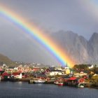 Regenbogen über Reine, Lofoten