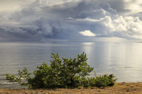 Hallsvik, Gotland, Schweden