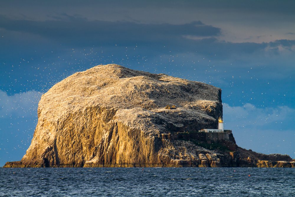 Bass Rock Lighthouse, North Berwick, Schottland