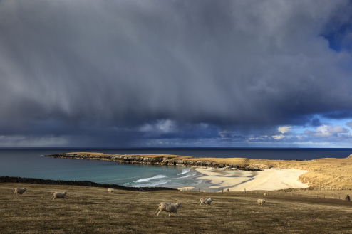 Breckon Sands, Insel Yell, Shetland