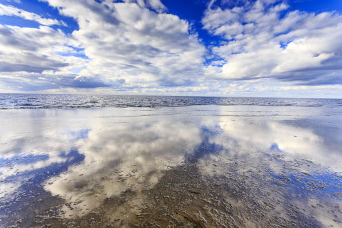 Neptuni åkrar, Öland, Schweden