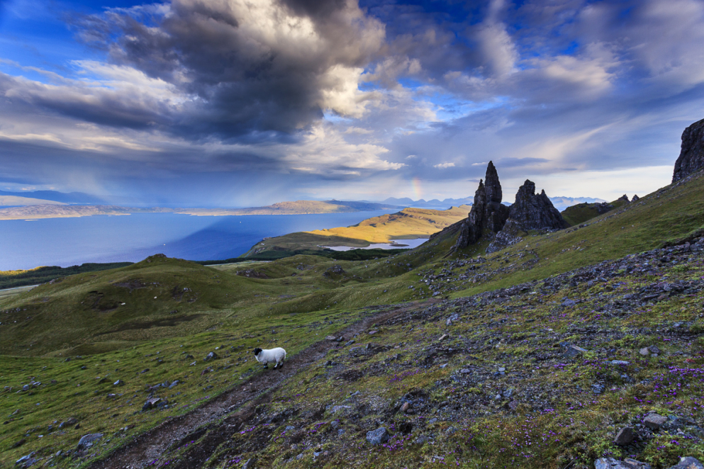 Old Man of Storr, Isle of Skye, Schottland