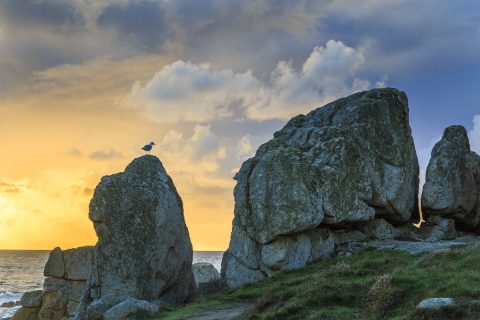 Felsenlandschaft, Pern, Ouessant, Bretagne