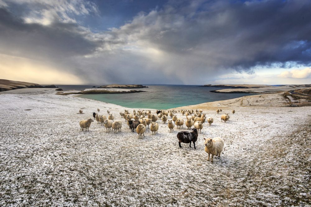Mainland Shetland, Schottland