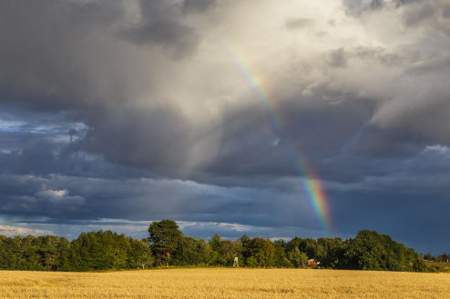 Regenbogen, Schweden